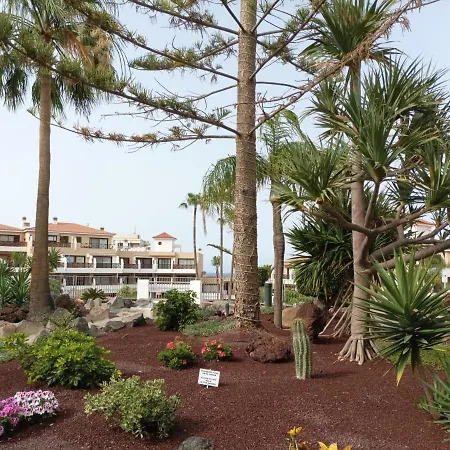Apartment Estudio En Tenerife Con Piscina / Study Flat With Pool